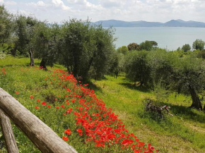  Antica casa di famiglia  Кастильоне-Дель-Лаго